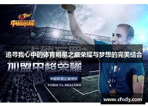 追寻我心中的体育明星之巅荣耀与梦想的完美结合