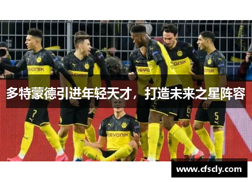 多特蒙德引进年轻天才，打造未来之星阵容
